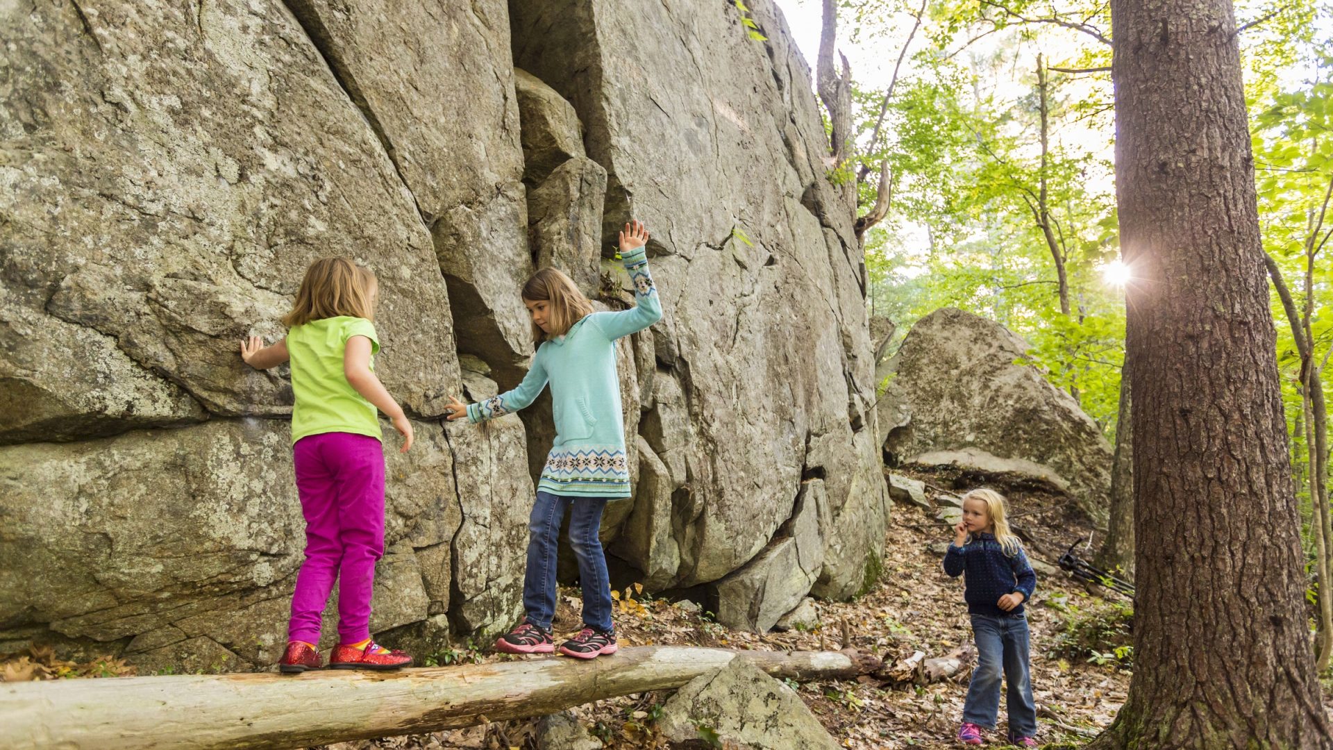 Kids attempt to traverse a log next to a cliff in the forest at the Kenyon Hill preserve in South Berwick, Maine.