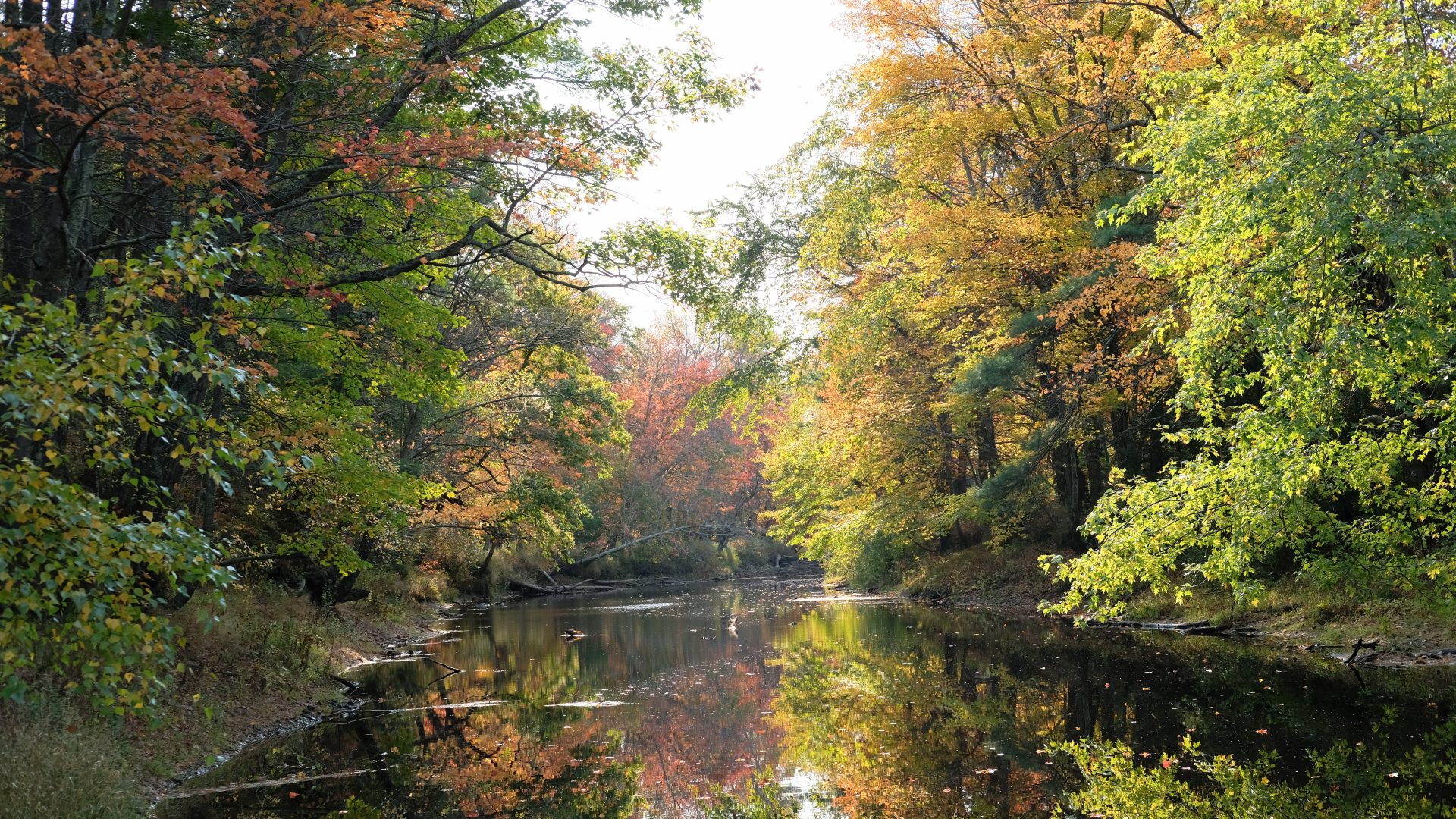 Keay Brook Preserve, River View in Autumn