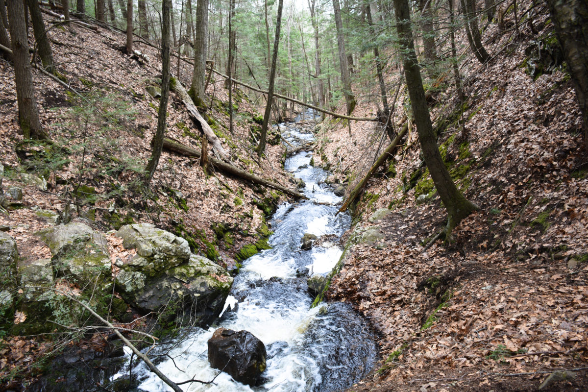 Orris Falls Conservation Area - Great Works Regional Land Trust