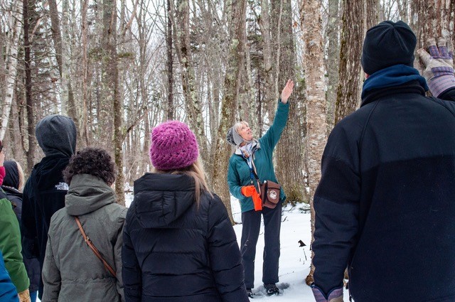 How Trees Prepare for Winter with Eileen Willard
