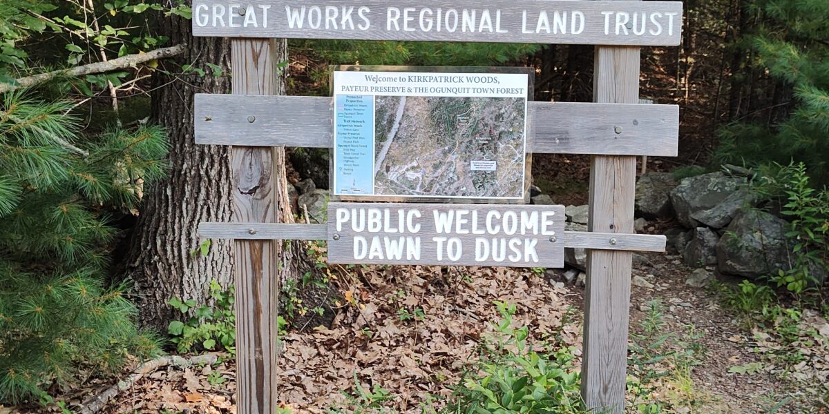 Wednesday Wandering: Payeur Preserve