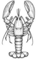 Lobster Dinner for 10 Raffle 2025
