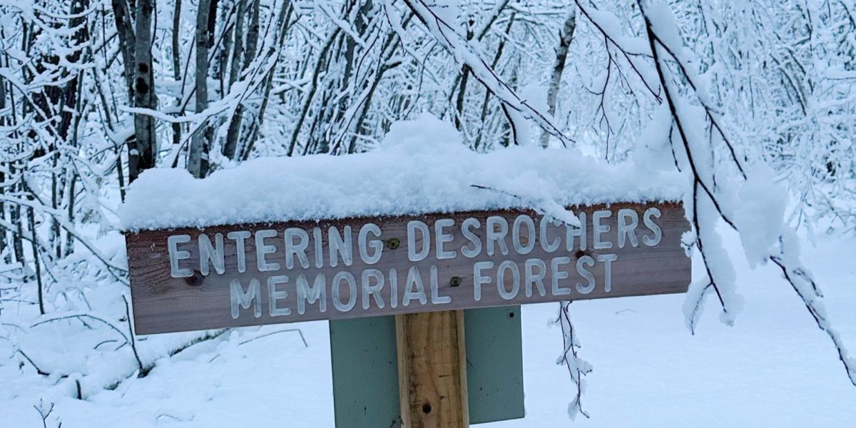 Wednesday Wandering: Desrochers Memorial Forest