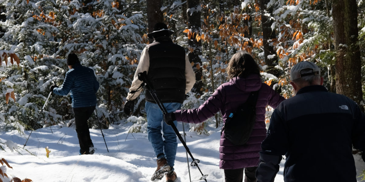 Hike/Snowshoe at Beaver Dam Heath with Michael Wright