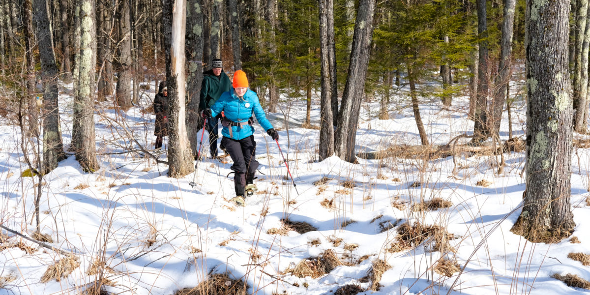 Tuckahoe Preserve Hike w/ Michael Wright