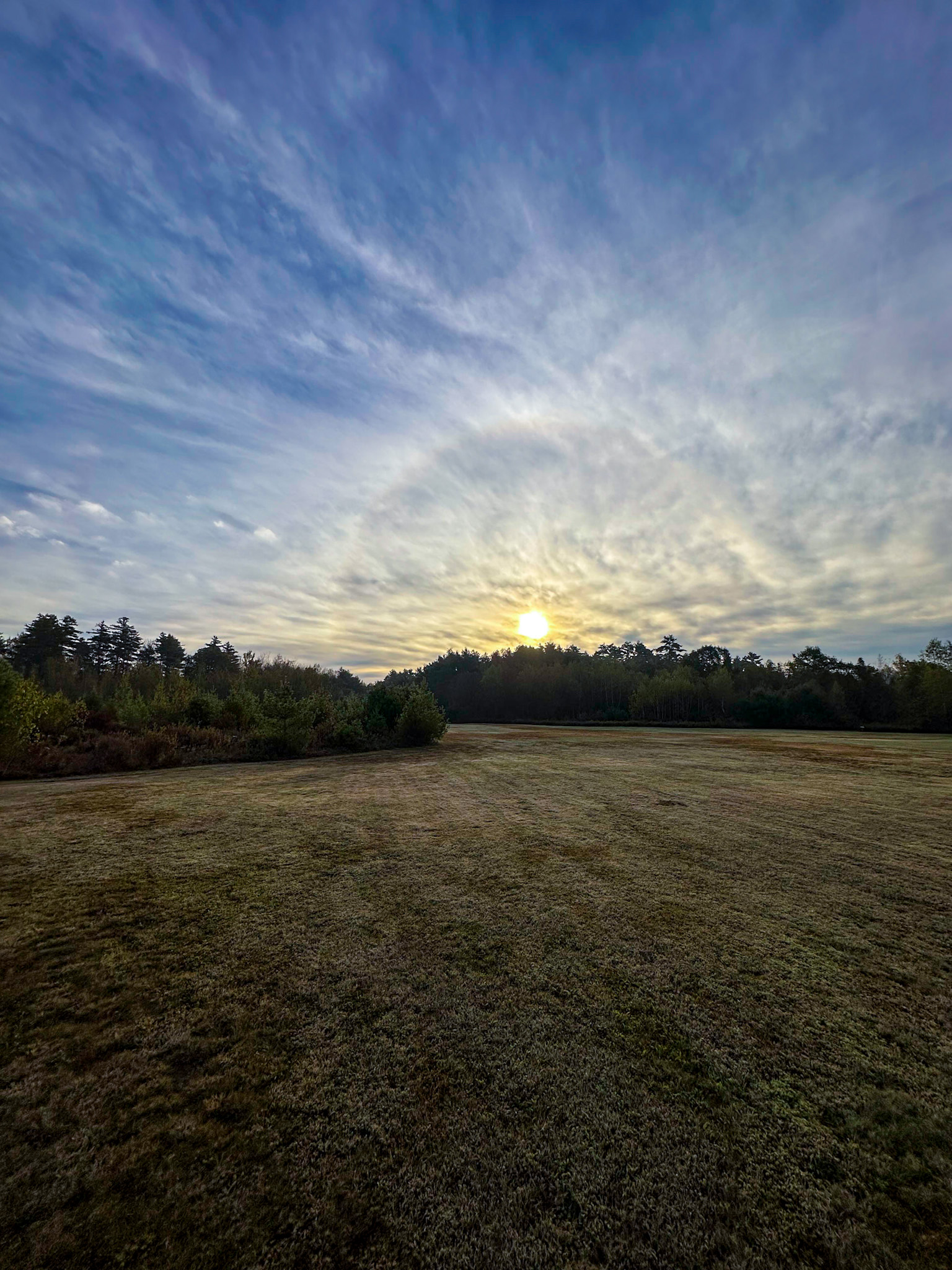 Intro to Birding w/ Frank Dehler - Great Works Regional Land Trust