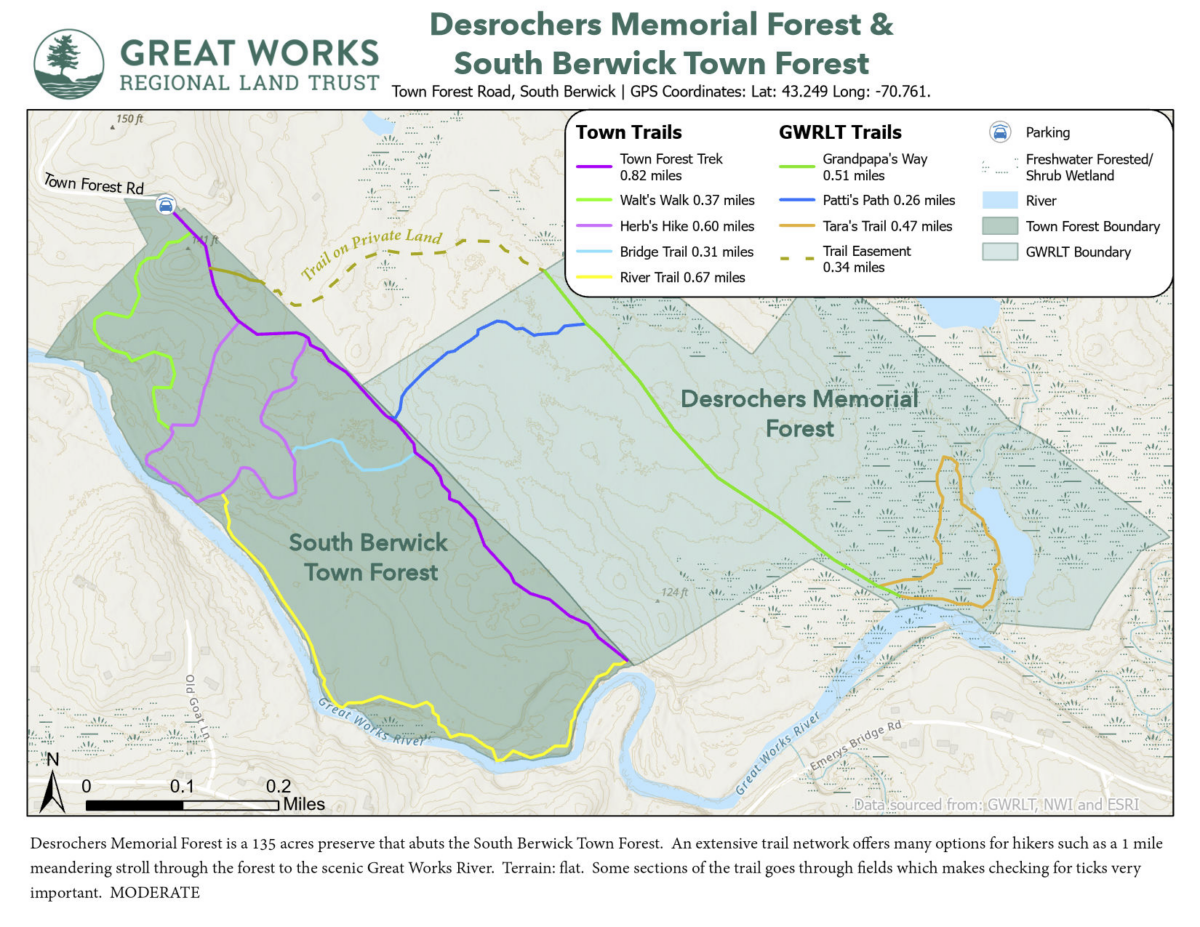 Image of Desrochers Memorial Forest & South Berwick Town Forest.