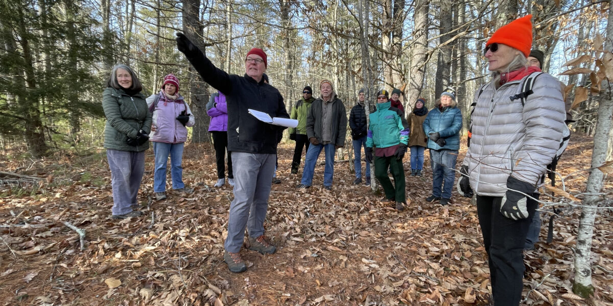 Walk into the History of Desrochers Memorial Forest w/ Brad Fletcher