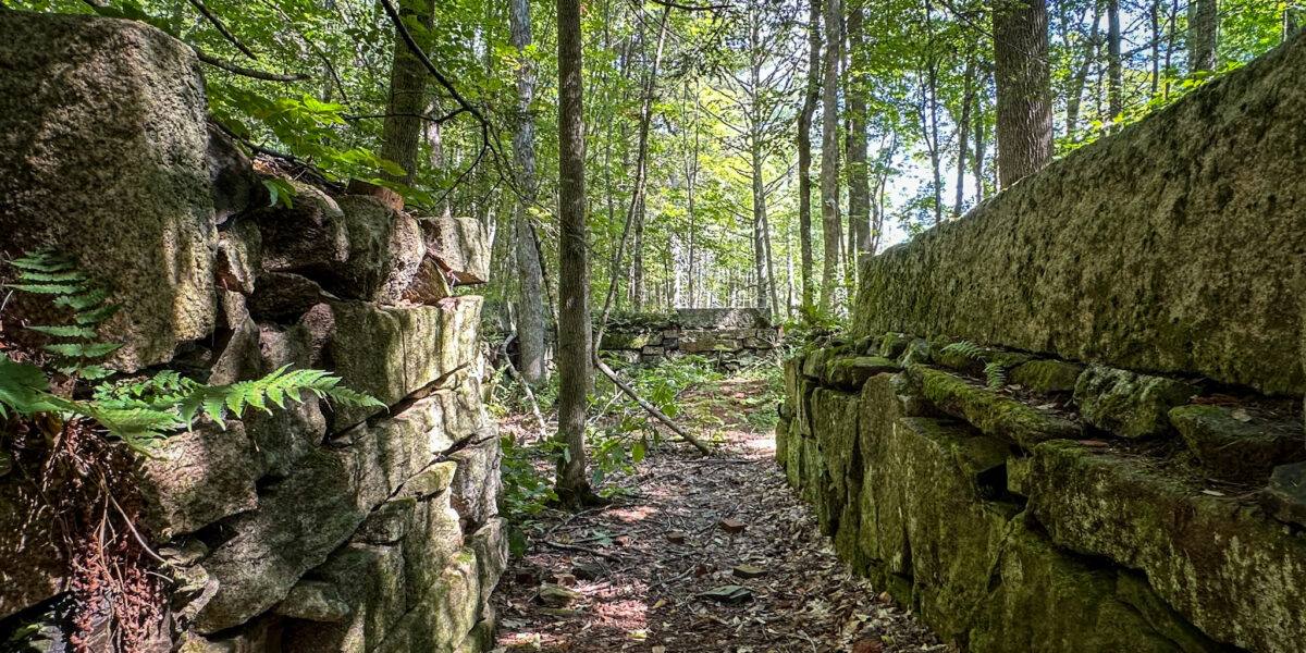 Walk into the History of Orris Falls w/ Brad Fletcher