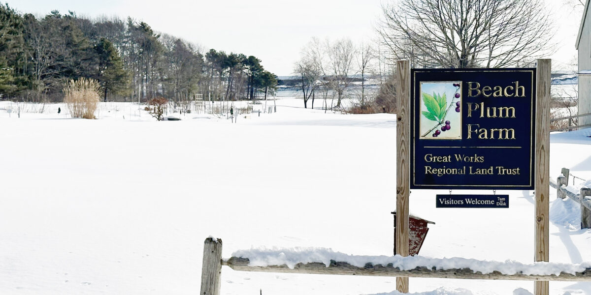 Winter Solstice Celebration