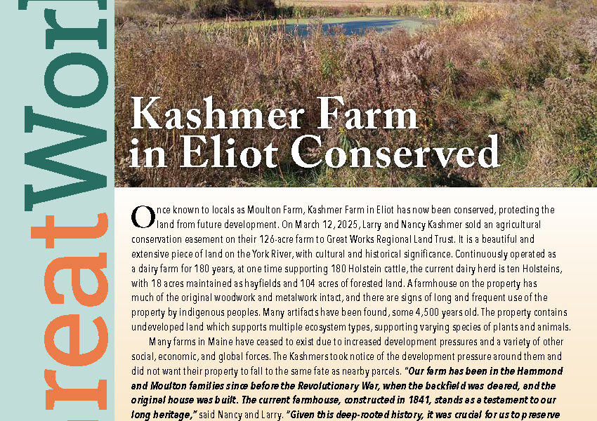 Summer 2025 Newsletter