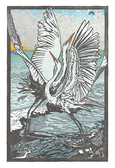 GWRLT Presents the Wild and Scenic Film Festival 2025
