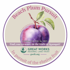 Beach Plum Pursuit logo
