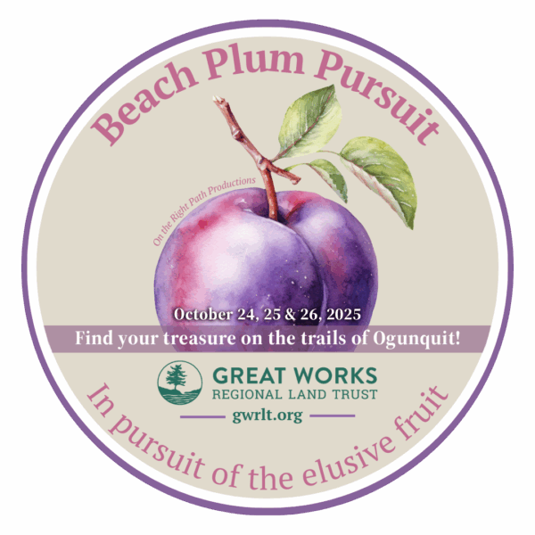 Beach Plum Pursuit logo