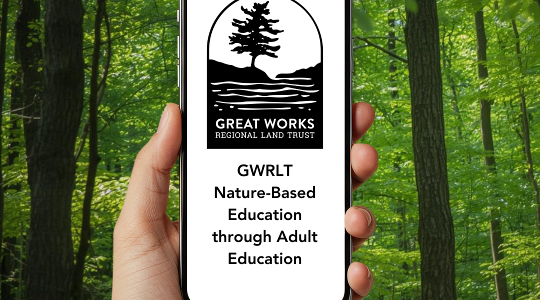 Who’s Out There? What is That Plant? How to Use Merlin, E-Bird & and I Naturalist