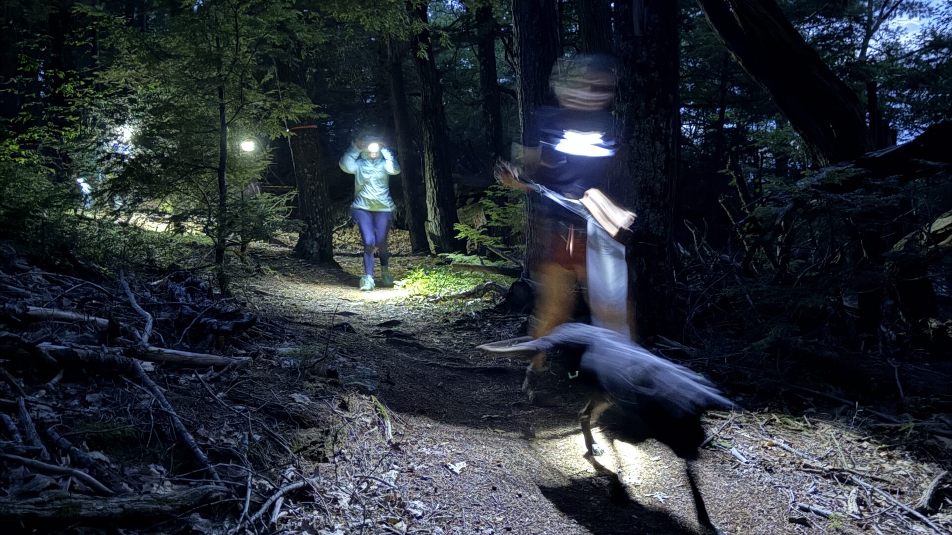 Night Hiking
